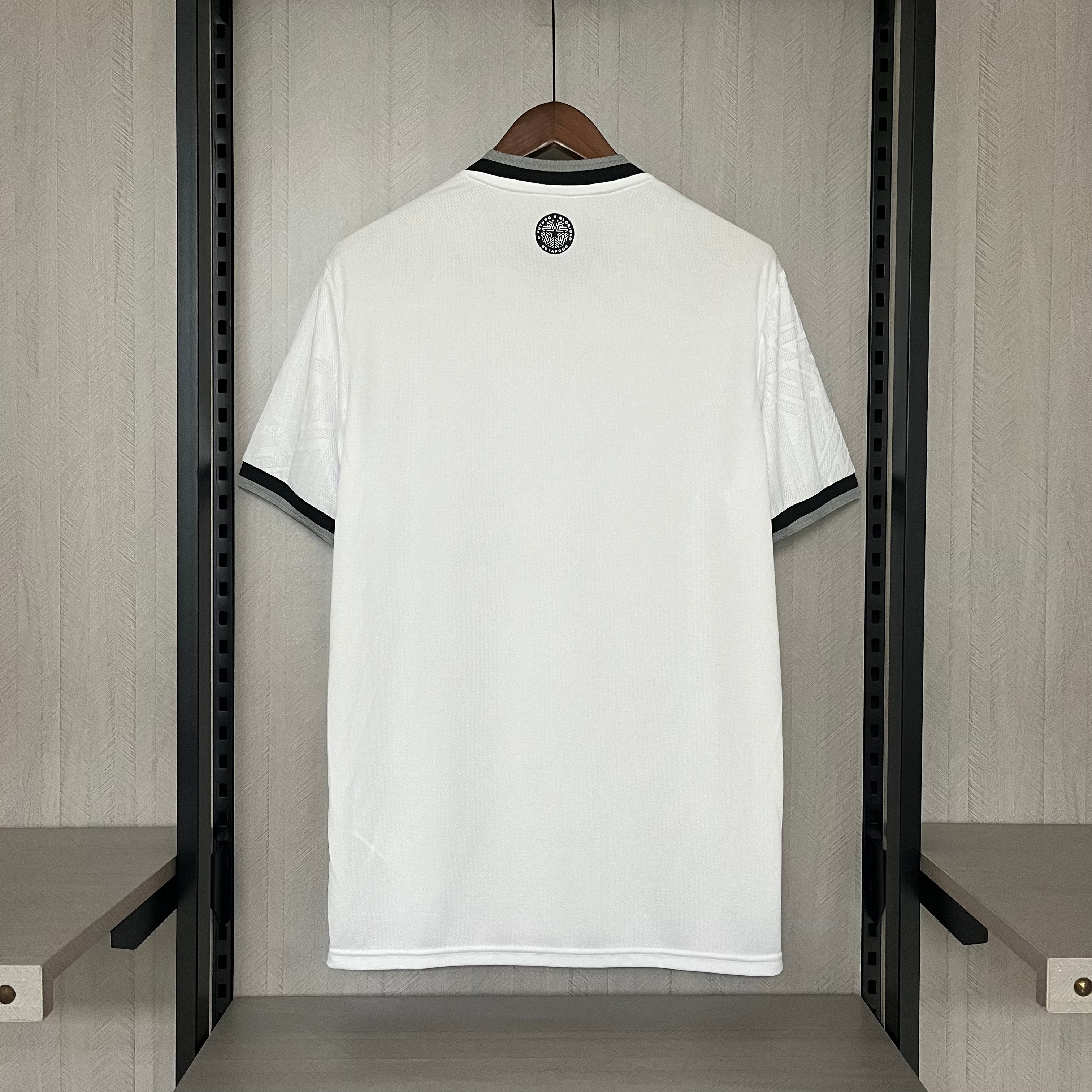 Botafogo Titular 24-25