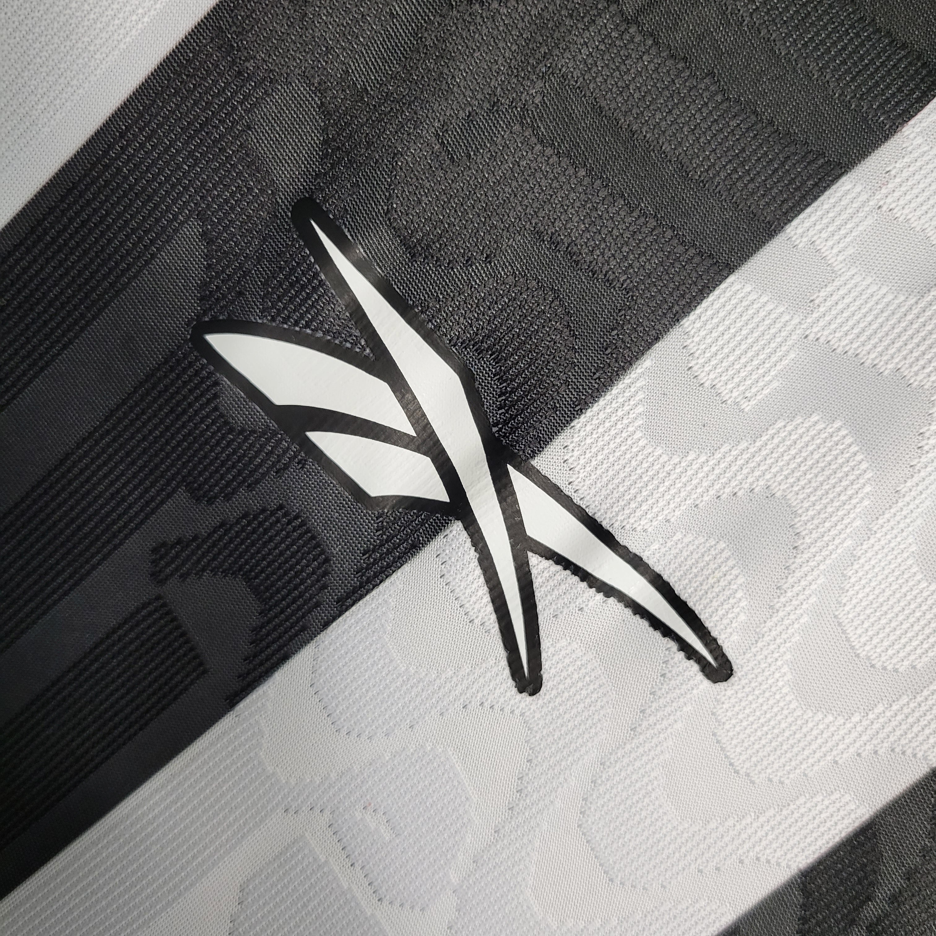 Botafogo Titular 23-24