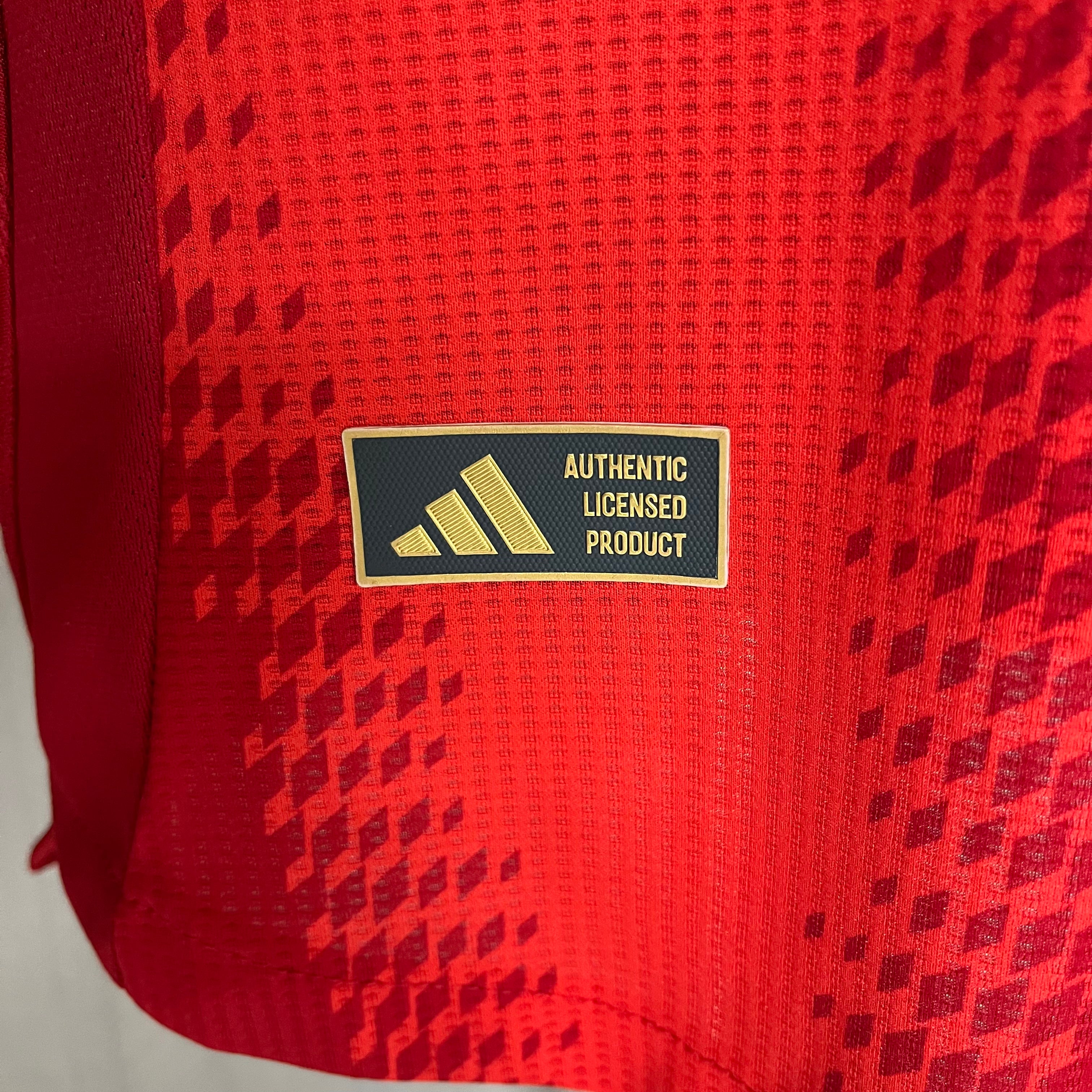 Bayer de Munique Titular 24-25